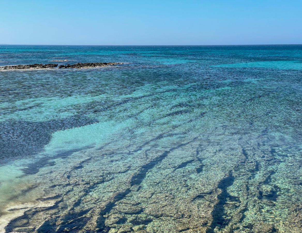 Masseria Bosco Mazza เมเลนดูญโญ ภายนอก รูปภาพ